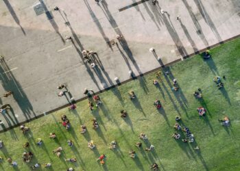 Study Discovers Rise in Cooperation Among Strangers in the US Since 1950s