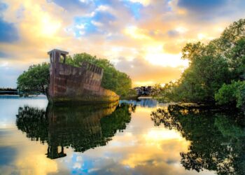 Nature’s Comeback: 8 Abandoned Spots Transformed into Parks, Wildlife Refuges, and Beyond