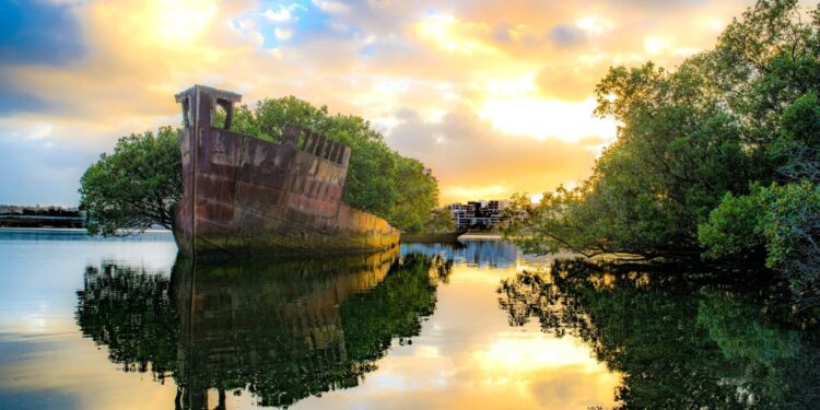 Nature’s Comeback: 8 Abandoned Spots Transformed into Parks, Wildlife Refuges, and Beyond