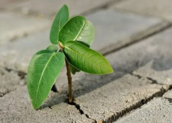 10 Miraculous Survival Stories That Defy All Expectations