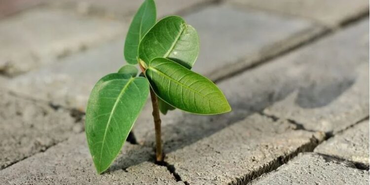 10 Miraculous Survival Stories That Defy All Expectations