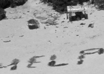 Rescued Castaways: How Palm Leaves Became Their SOS Signal