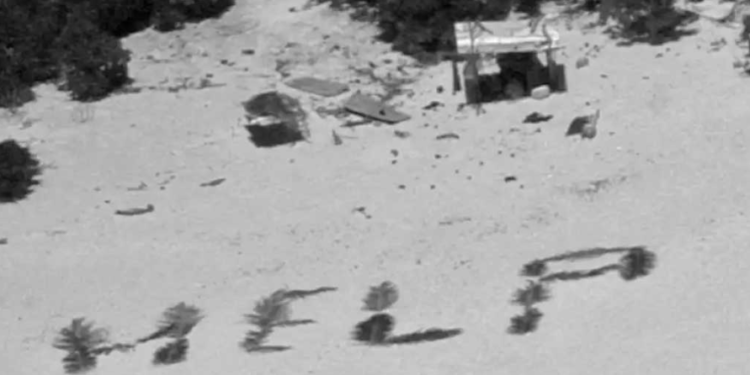 Rescued Castaways: How Palm Leaves Became Their SOS Signal