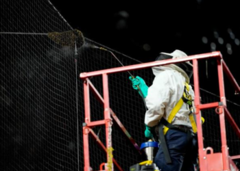 Bee Delay at MLB Game Leads to Heroic Beekeeper and Diamondbacks Victory