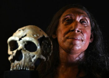 Meet the Neanderthal: A Glimpse into Our Ancient Relative’s Face
