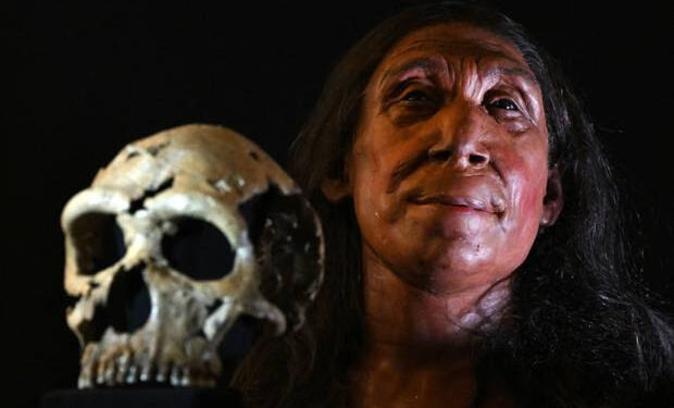 Meet the Neanderthal: A Glimpse into Our Ancient Relative’s Face