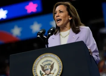 Critics blast Harris’ grasp of inflation, attack on business ahead of policy speech: ‘Lunatic behavior’