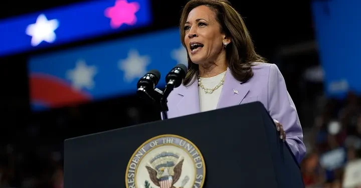 Critics blast Harris’ grasp of inflation, attack on business ahead of policy speech: ‘Lunatic behavior’