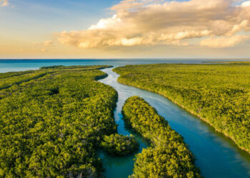Florida Launches the World’s Largest Ecosystem Restoration Project