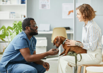 Scientists Develop New Neutering Vaccine for Dogs (No Cone Required)