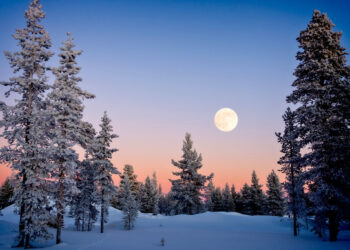 Farewell for Now to Earth’s “Mini Moon”