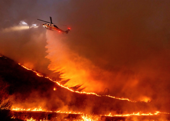 Report: Kenneth Fire in Woodland Hills Possible Arson, Suspect Detained