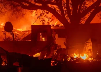 Elon Musk swoops in to help wildfire victims in devastated areas of Southern California