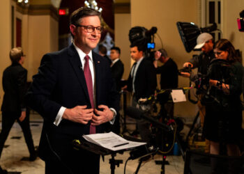 House Speaker Mike Johnson: Anti-GOP Town Hall Protesters ‘Paid’ by Democrats