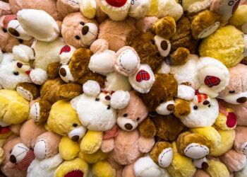 The Case for Teddy Bears as an Antidote to Negativity