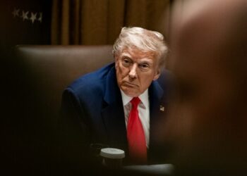 Report: Government Bureaucrats Tried to Stop Trump from Canceling Illegal Aliens’ Social Security Benefits