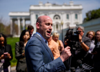 Stephen Miller Urges Reparations for Migration’s Damage to Americans