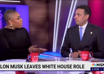 Dem Rep. Subramanyam: Musk Likely Committed Crimes, Once in Power Dems Will Investigate