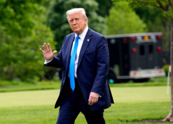 PHOTO: Trump Triggers Leftists with Image of Himself as Pope