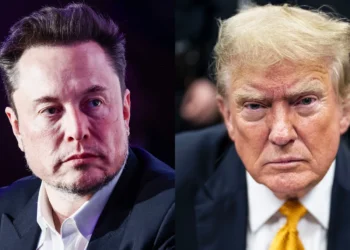 Nolte: Trump Attacking Musk, His Biggest Backer, Destroys Narrative Trump Only Cares About Rich