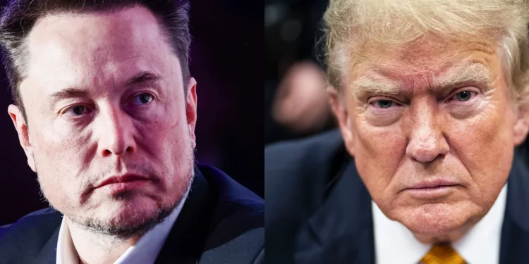 Nolte: Trump Attacking Musk, His Biggest Backer, Destroys Narrative Trump Only Cares About Rich