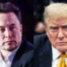 Nolte: Trump Attacking Musk, His Biggest Backer, Destroys Narrative Trump Only Cares About Rich