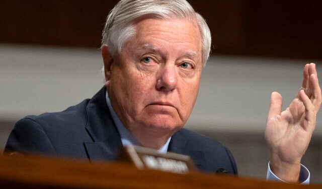 Lindsey Graham Challenger Mark Lynch: America’s ‘Tired’ of His ‘Fake Platform’