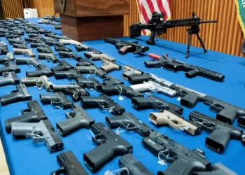 Dem NY Assemblyman: We Should Be Doing Gun Control, Not in ‘Discussions on the Ticky-Tacky Aspects’ of Specific Guns