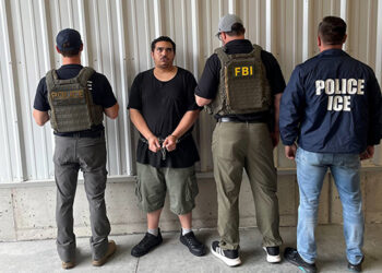 Acting ICE Head: We Place Detainer for ‘Any Crime’, Shoplifting Leads to ‘More Crime’