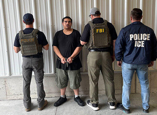 Acting ICE Head: We Place Detainer for ‘Any Crime’, Shoplifting Leads to ‘More Crime’