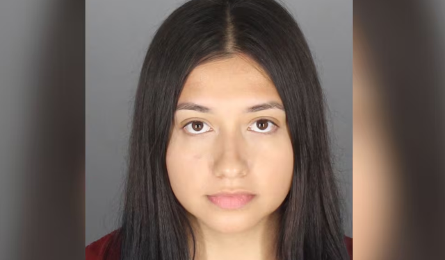 Michigan Ex-Teacher Accused of Sexual Relationship with 16-Year-Old Boy