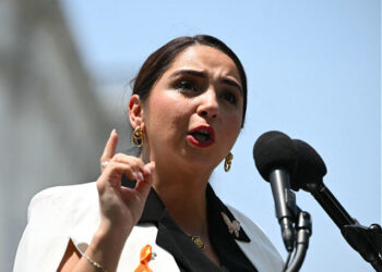 Democratic Member of Congress Confesses Guatemalan Identity