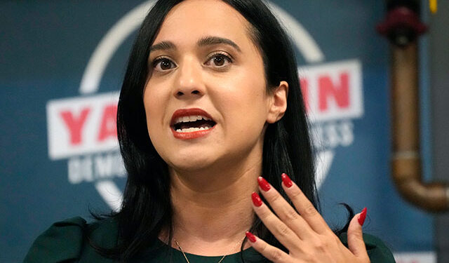 Dem Rep. Ansari: I’ll Shut Down Gov’t if We Don’t ‘Take Away Funding From’ ‘Rogue’ ICE