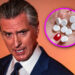 Gavin Newsom Allows CA Doctors to Prescribe Abortion Pills Anonymously to Skirt Red State Laws