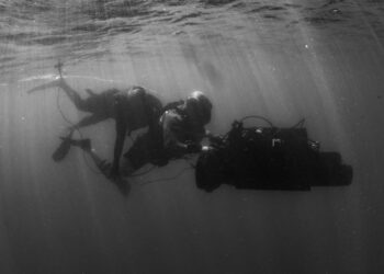 Classified Navy SEAL Mission Leaked to Damage President Trump Harms National Security Instead