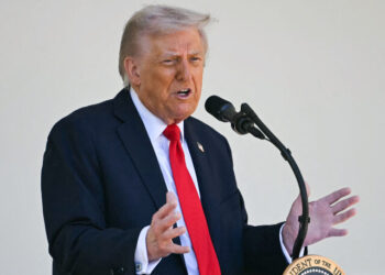 White House to Launch Website Exposing Criminal Illegal Aliens Who Have Received Medicaid