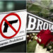 Weapons Policy: Brown University Is a Gun-Free Zone