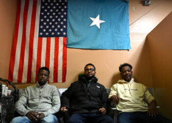 Database Searches Show Somali Fraudsters Funding Democrat Politicians